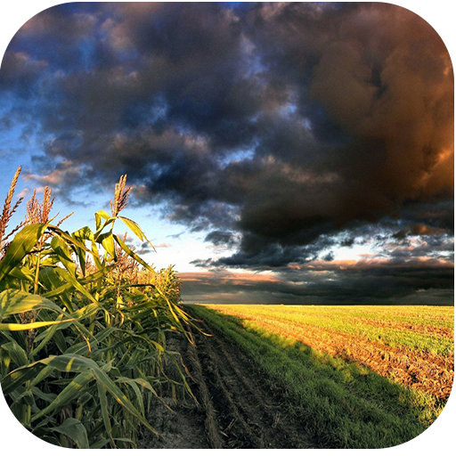 Top Nature Live Wallpapers icon