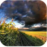 Top Nature Live Wallpapers on 9Apps