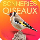 Bird Calls - Sounds &amp; Ringtones icon