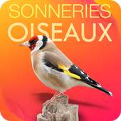 Bird Calls - Sounds & Ringtones on 9Apps