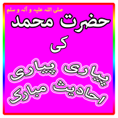 Aik Hazaar Ahadees Nabvi icon