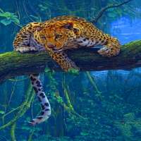 Jungle Leopard Live Wallpaper on 9Apps