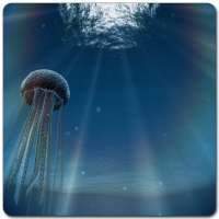 Jellyfish 3D LiveWallpaper