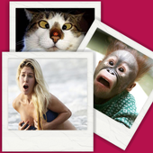 Funny Pics icon
