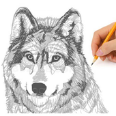 Cómo dibujar un lobo. Esquemas icon