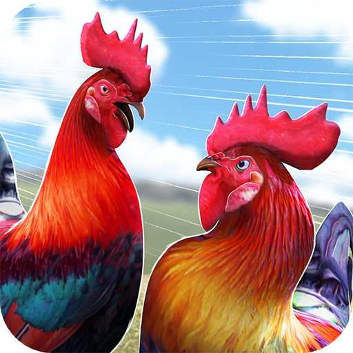 닭 싸움 수탉 Wild Rooster Run icon