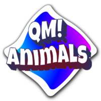 Question me! Animals