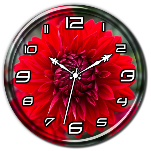 ikon Red Dahlia Clock Live WP