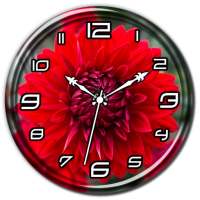 Red Dahlia Clock Live WP on 9Apps