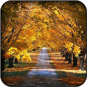 Autumn wallpapers icon