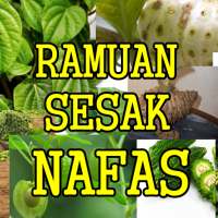 Jenis Ramuan Sesak Nafas Tradisional Paling Ampuh on 9Apps