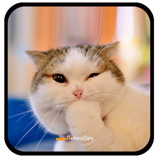 WAStickerapps Funny Cat icon