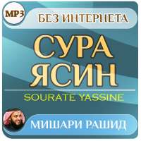 сура ясин Мишари Рашид - коран on 9Apps