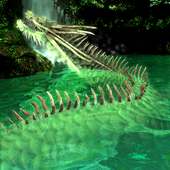 Waterfall-DRAGON PJ Free on 9Apps