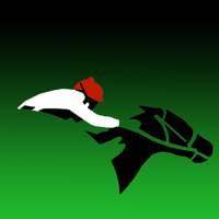 Horse Racing Daily Betting Tips for UK Horse Races