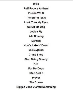 DMX Lyrics screenshot 2