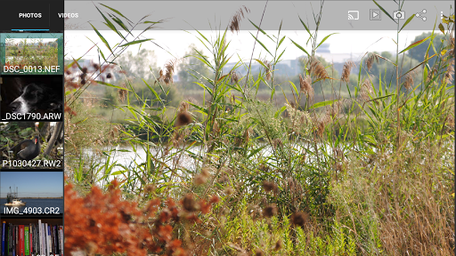 Gallery Cast Pro screenshot 3