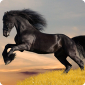 Horses live wallpaper icon