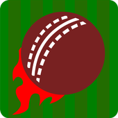 Smash and Slog Cricket icon
