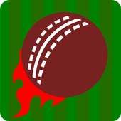 Smash and Slog Cricket