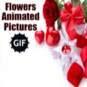 Цветы Анимированные картинки GIF on 9Apps