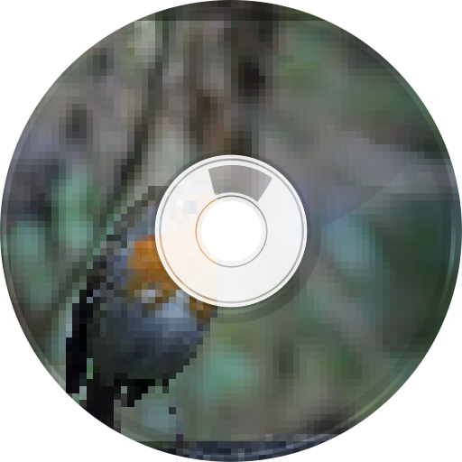 Bird Sounds and Ringtones icon