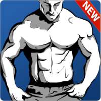 Upper Body Training - Back Workout