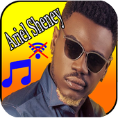 Ariel Sheney sans internet icon