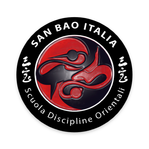 SAN BAO KUNG FU icon