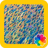 Aquarium Wallpapers icon