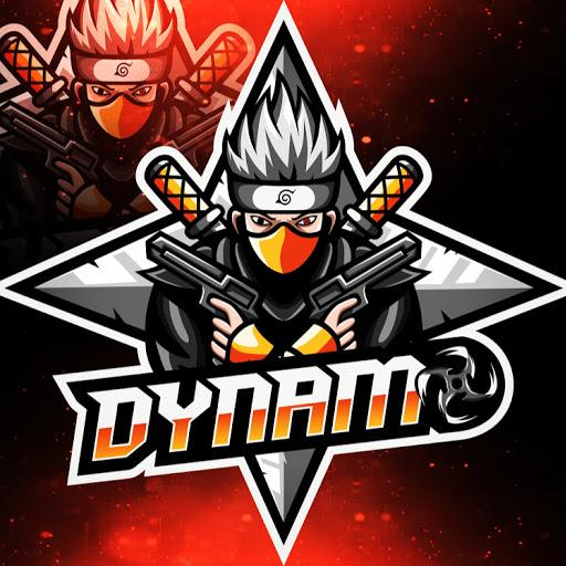 Dynamo Gaming icon