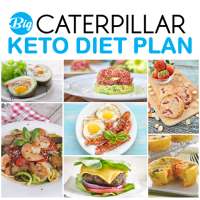 Keto Diet Plan on 9Apps