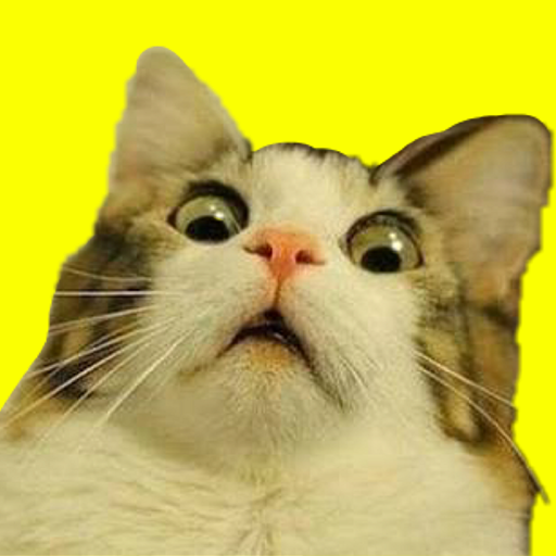 Funny Memes &amp; Jokes Quotes icon