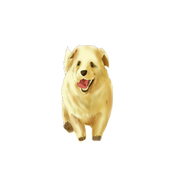 How to Draw a Puppy أيقونة