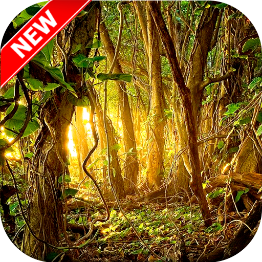 Jungle Wallpaper HD icon