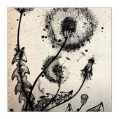 Grand Prime HD Wallpapers icon