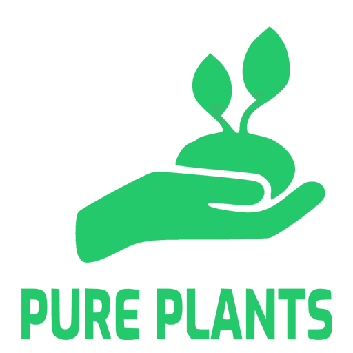 Create Own ecommerce App - Free icon