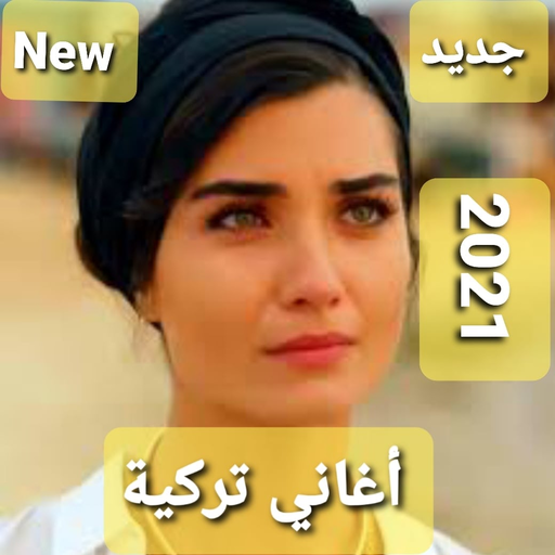 Famous Turkish songs without the net 2021 icon