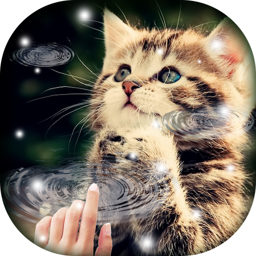 Water Touch - Cute Cat Live Wallpaper icon