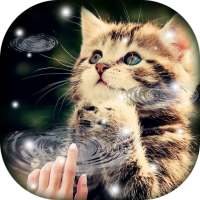 Water Touch - Cute Cat Live Wallpaper