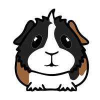 My Guinea Pigs: Reliable Pet Health Care Advice