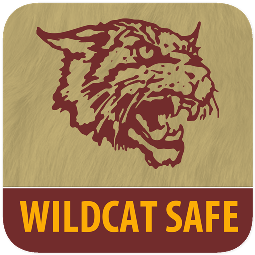 Wildcat Safe icon