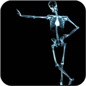 Skeleton Wallpapers icon