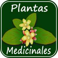 Medicinal Plants and Their Uses