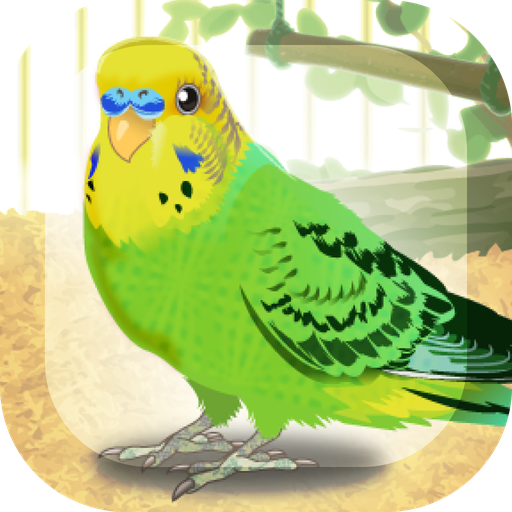 Parakeet Pet icon