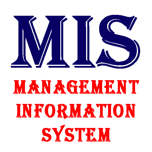 Management Information System icon