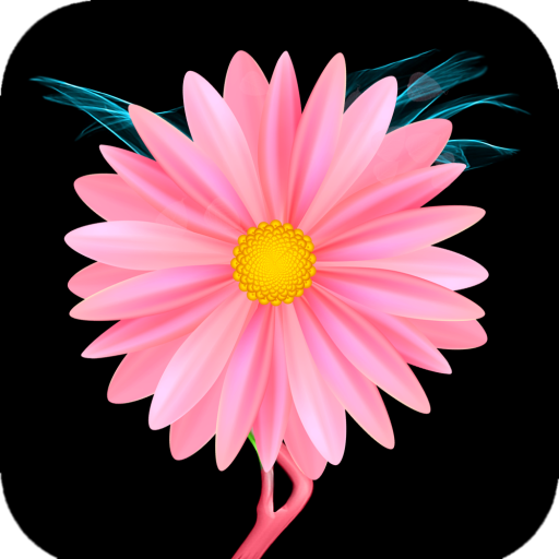 Pink Flower Wallpaper icon