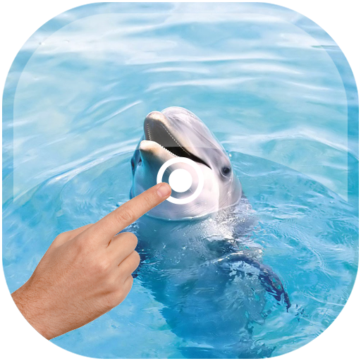 ikon Magic Touch - Dolphin In Water