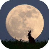 Sleep Better Timer icon