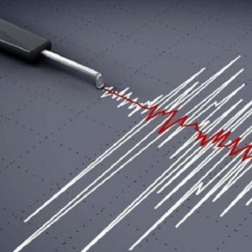 Disaster Management icon